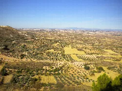 Panoramablick auf Felder und Olivenhaine in La Alcarria von Trijueque.