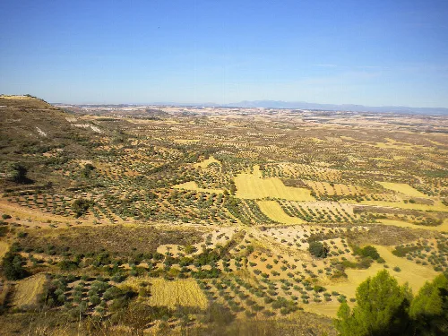 Panoramic view of fields and olive groves in La Alcarria from Trijueque.
