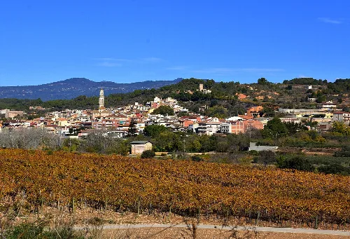 Vila-rodona.