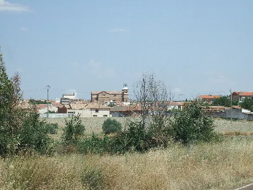 Landscape with houses and vegetation in Piedrabuena.