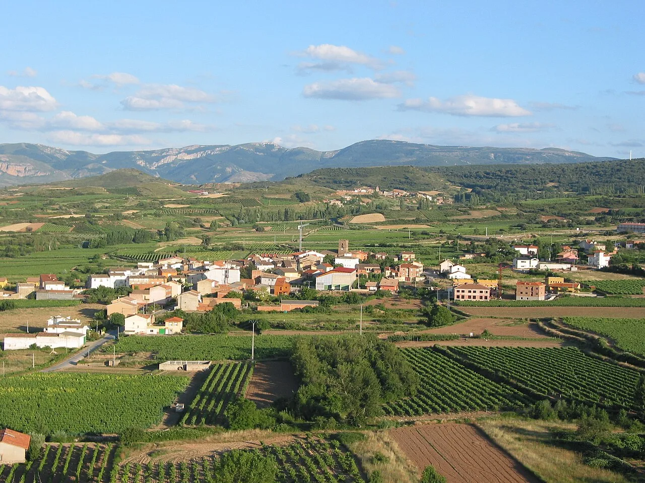 Vista panorámica de Medrano, La Rioja