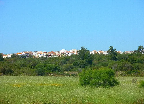 Landscape with white houses on the hill and green field in the foreground.