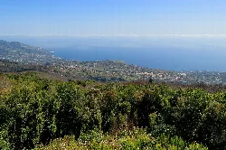 Paisaje con vegetación y vista del mar y la isla de La Palma.