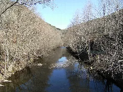 Río Mente fluyendo entre árboles sin hojas cerca de Passos de Lomba.