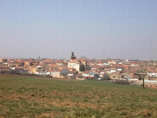 Panoramablick auf Morales del Vino mit Häusern und einer Kirche im Zentrum